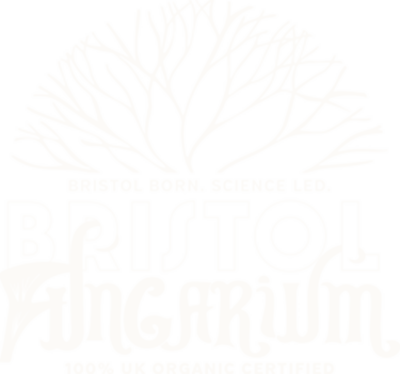 Bristol Fungarium